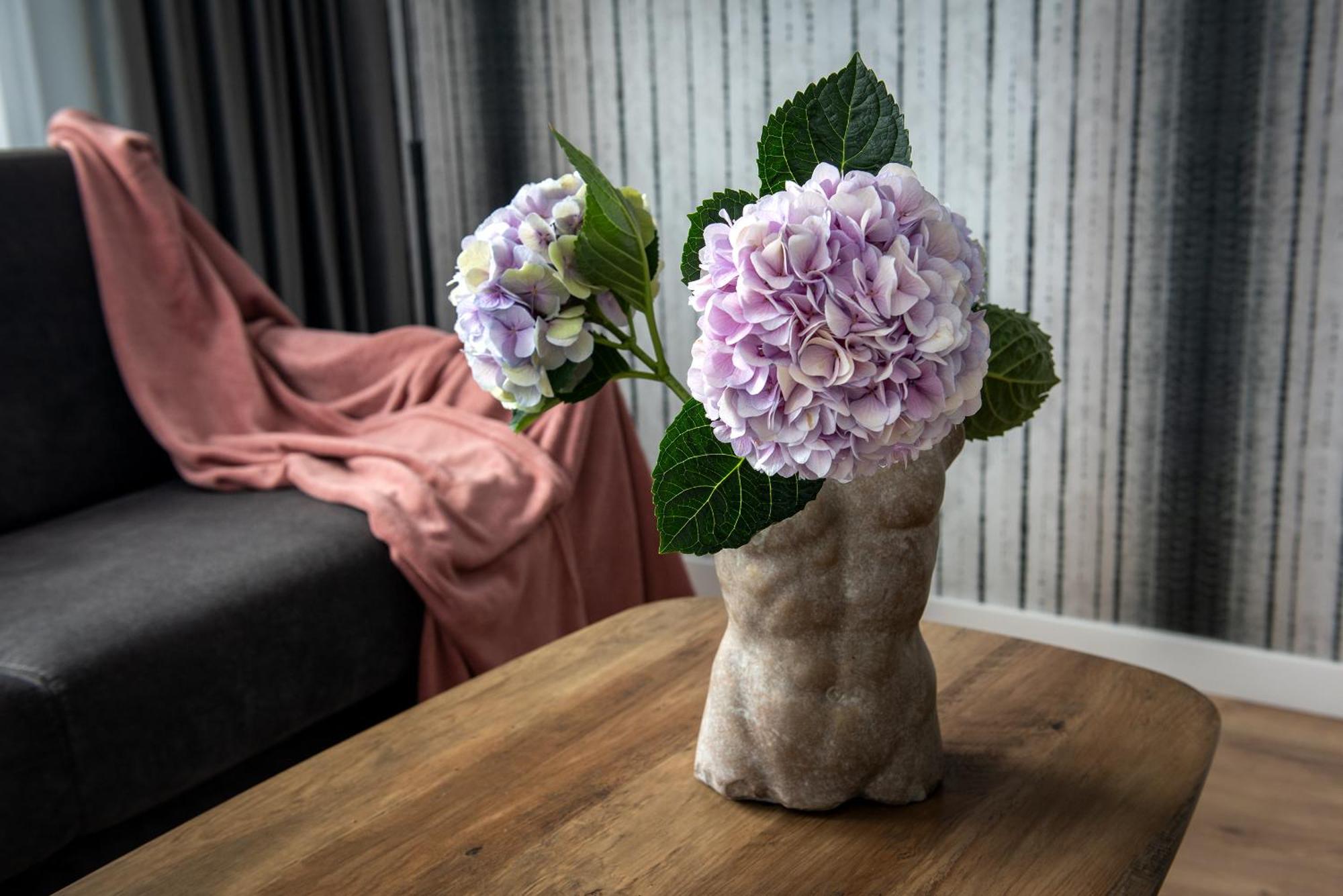 Inpoint Spacious Apartments Near Main Square & Kazimierz District Krakow Room photo